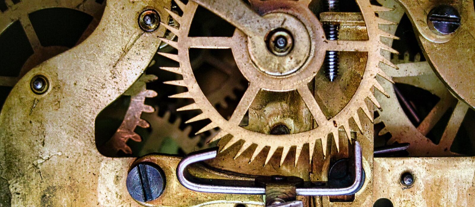 Close-up of the brass gears and escapement of an old clock movement